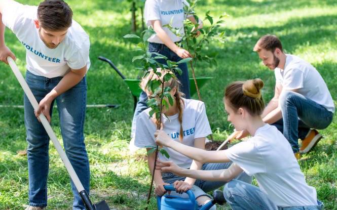 People volunteering and planting new trees in park together
