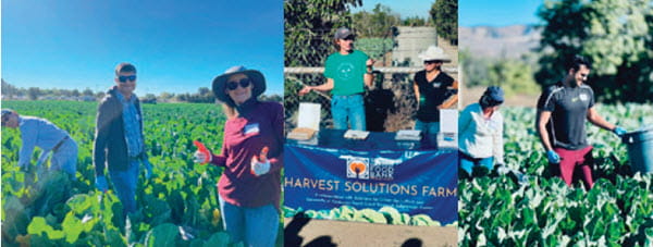Demand Management/Supply Chain 2nd Harvest Community Activity -Irvine, California